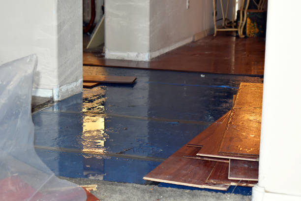 Professional Burst Pipe Cleanup technician working in Arlington, NY
